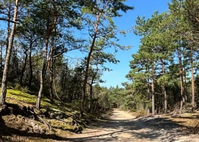 Dom Faleza Nyaraló *